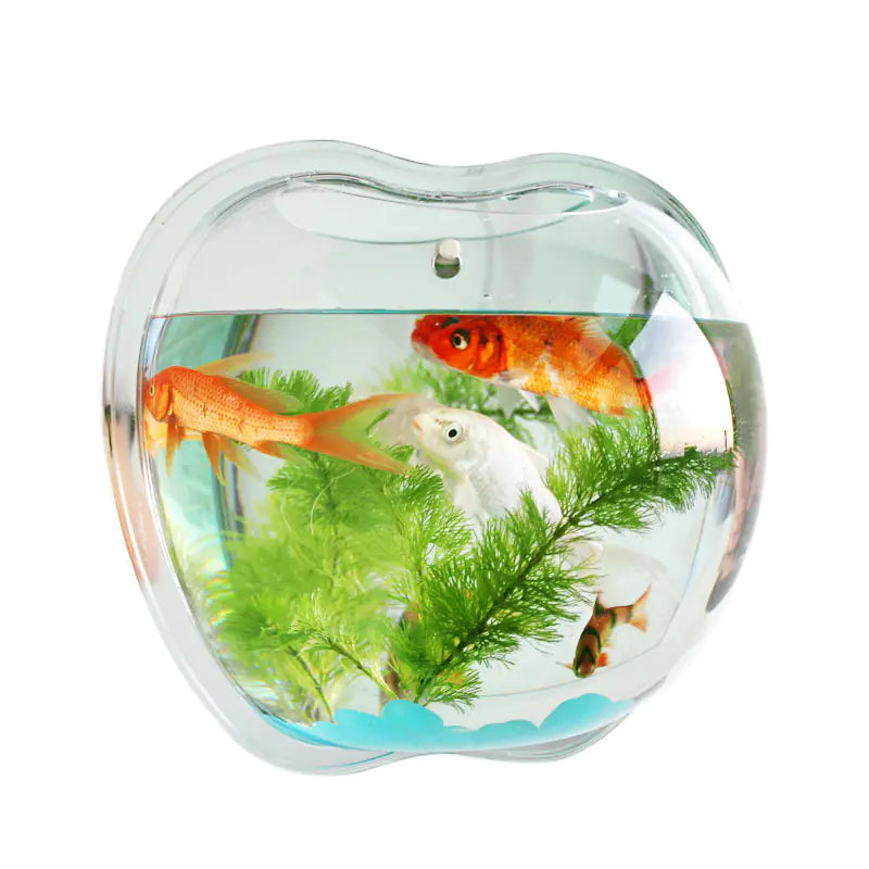 Wall Planter for Home Decor