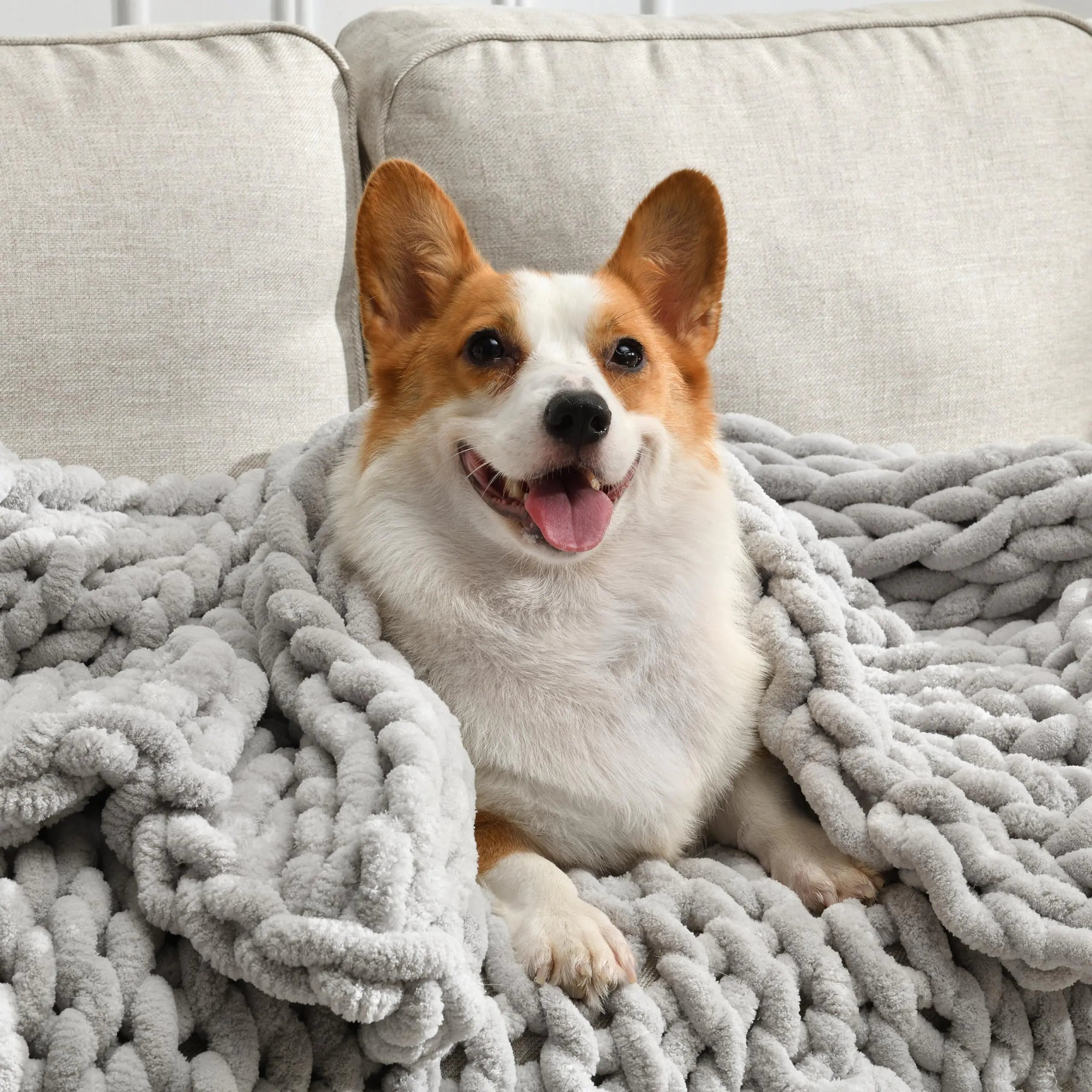 Feabuccy Soft Chunky Knit Blanket 60X80In Handmade Thick Chenille Yarn Throw Without Shedding & Raveling Aesthetic & Cozy Home Decor with Couch Sofa Bed Gift Pack Light Grey