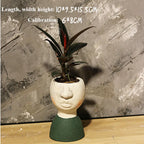 Artistic Portrait Sculpture Planter for Home Decor