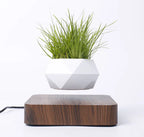 Floating Flower Pot for Home Decor